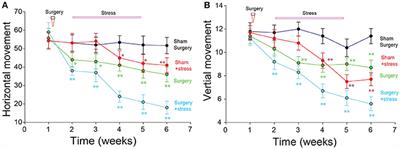 Stress Induced Hormone and Neuromodulator Changes in Menopausal Depressive Rats